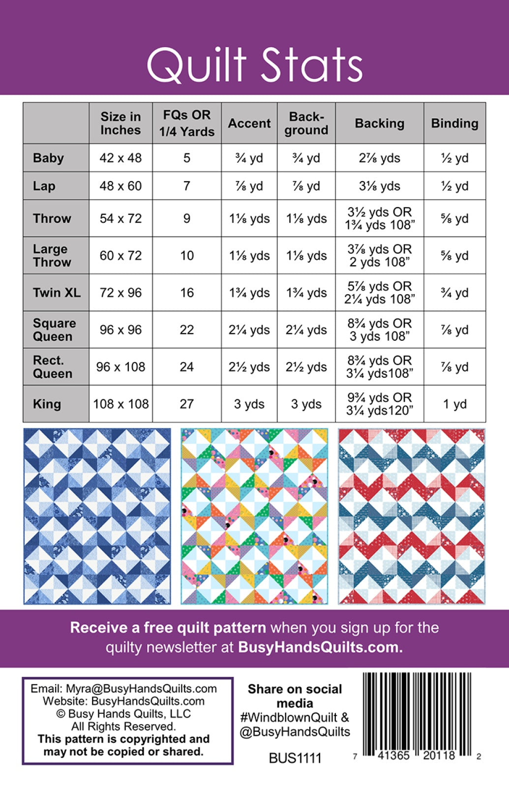 Back of the Windblown Quilt Pattern by Busy Hands