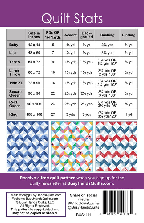 Back of the Windblown Quilt Pattern by Busy Hands