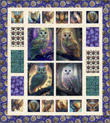  Birds Eye View Quilt Pattern by Quilting Renditions