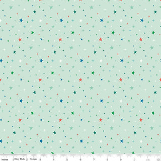 Brave Your Way Beyond the Stars Mint Quilt Fabric
