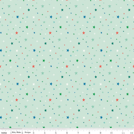 Brave Your Way Beyond the Stars Mint Quilt Fabric by Cayla Naylor