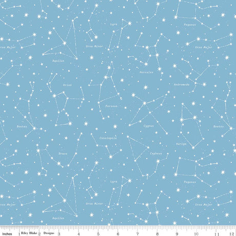 Reach for the Stars with NASA Constellations Sky Quilt Fabric by Riley Cloward