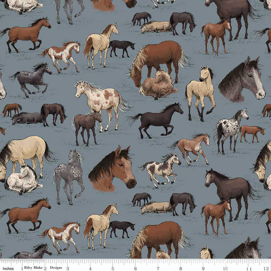 Horseshoe Creek Main Fog Quilt Fabric by Horseshoe Creek — RBD