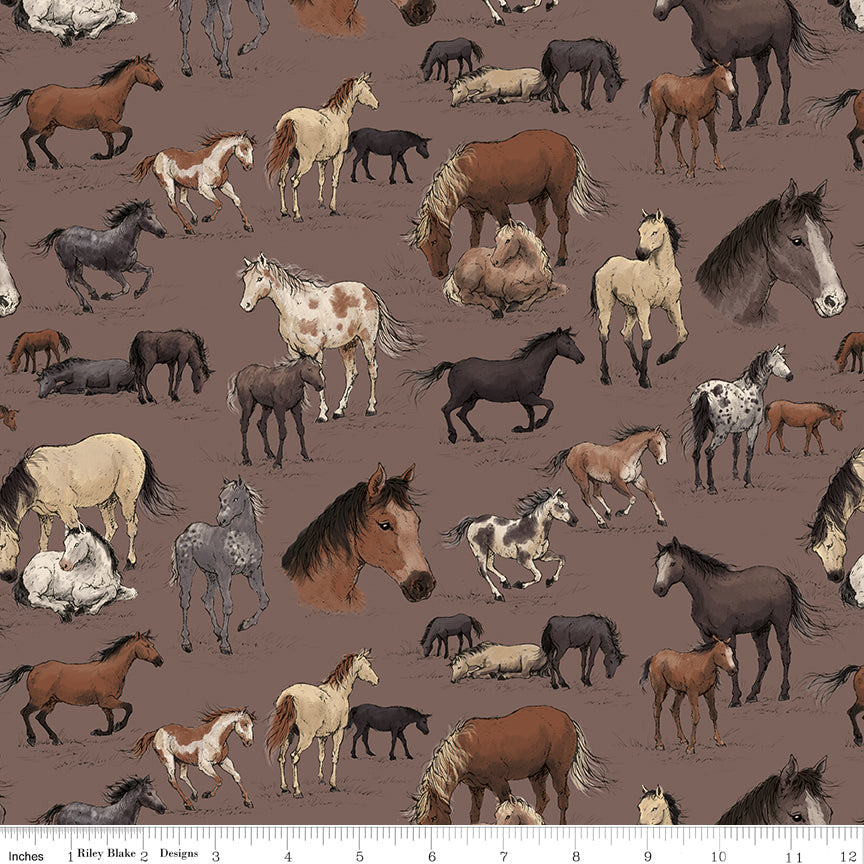 Horseshoe Creek Main Light Raisin Quilt Fabric by Horseshoe Creek — RBD