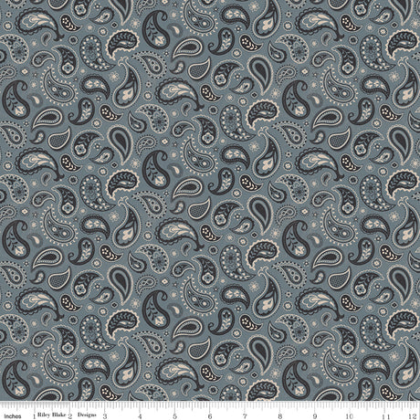 Horseshoe Creek Paisley Iron Quilt Fabric by Horseshoe Creek — RBD