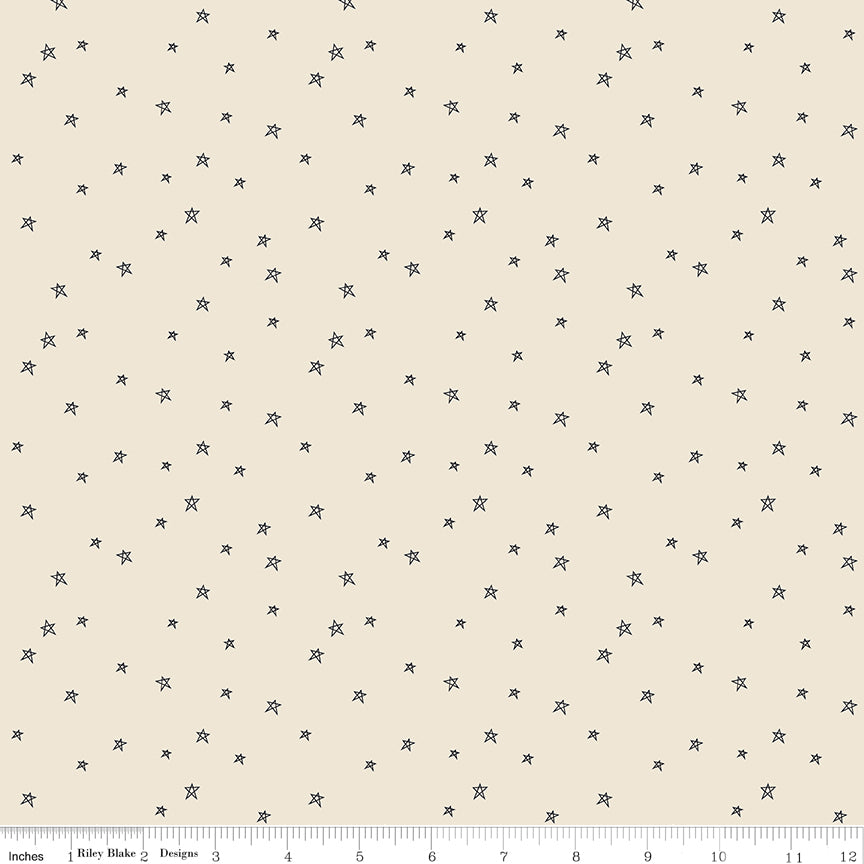 Pumpkin & Licorice Farmhouse Star Linen by Pumpkin & Licorice — Lori Holt