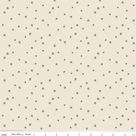 Pumpkin & Licorice Farmhouse Star Linen by Pumpkin & Licorice — Lori Holt