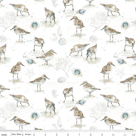 Sea Echoes Birds White Quilt Fabric