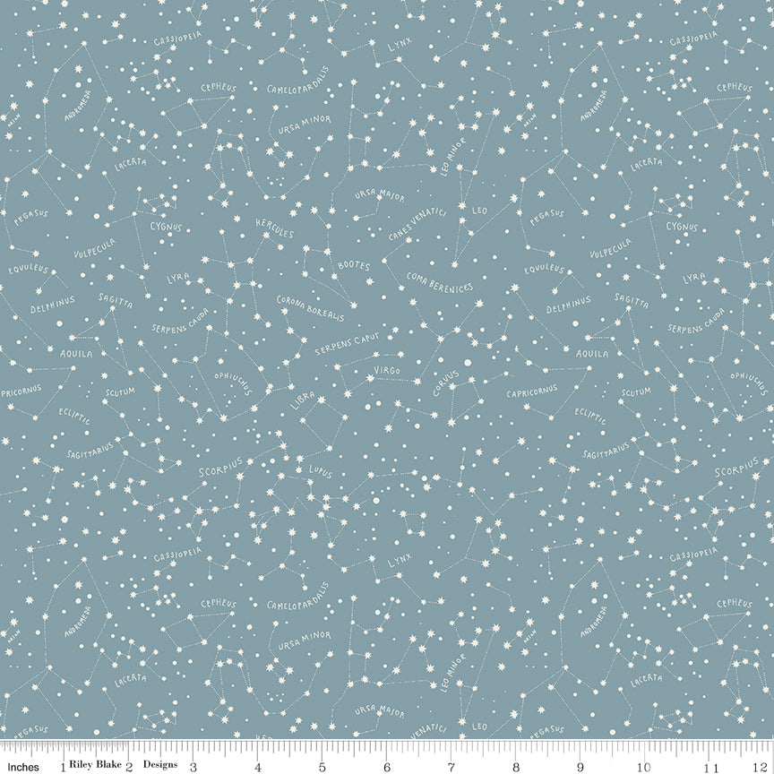 Upper Pines Constellations Blue Quilt Fabric