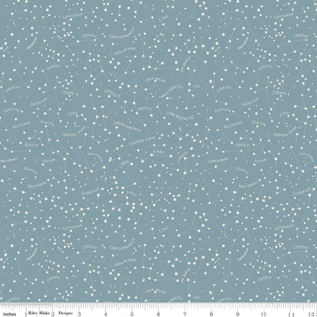 Upper Pines Constellations Blue Quilt Fabric