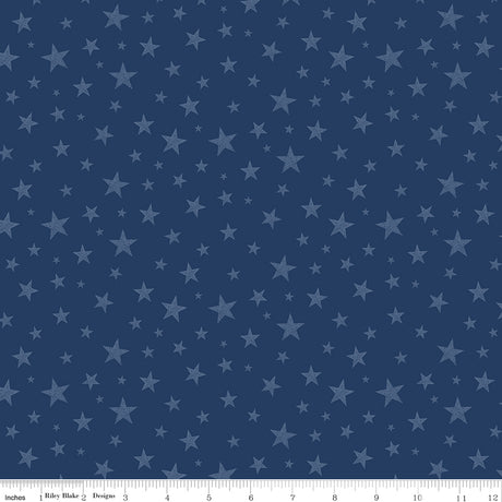 Valor Is Never Forgotten Stars Blue