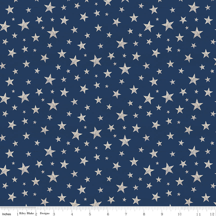 Valor Is Never Forgotten Stars Blue/Cream