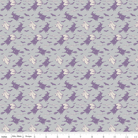 Cobweb Cottage Halloween Skies Silver Quilt Fabric - Riley Blake Designs - Melissa Mortenson