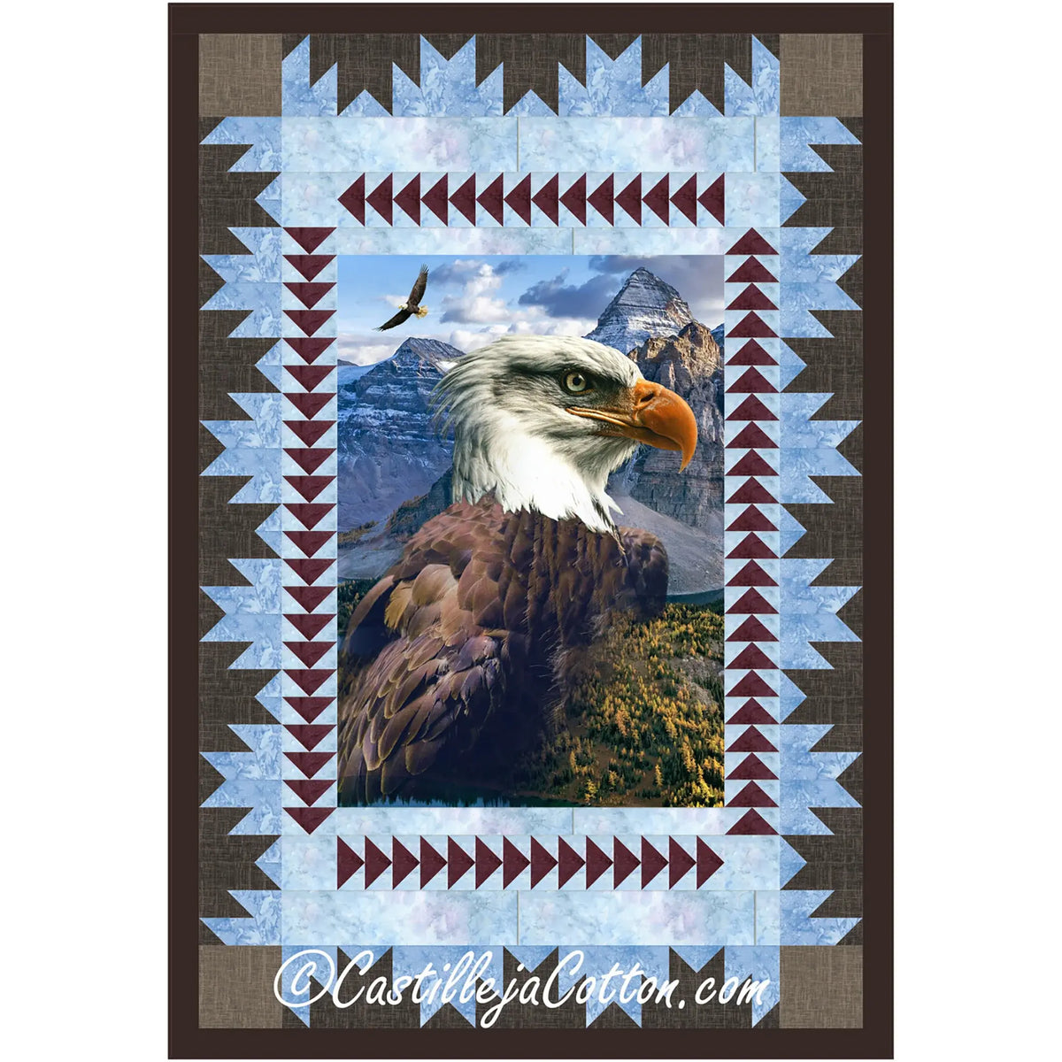 Eagle Resting Quilt Pattern – Quilting Books Patterns and Notions