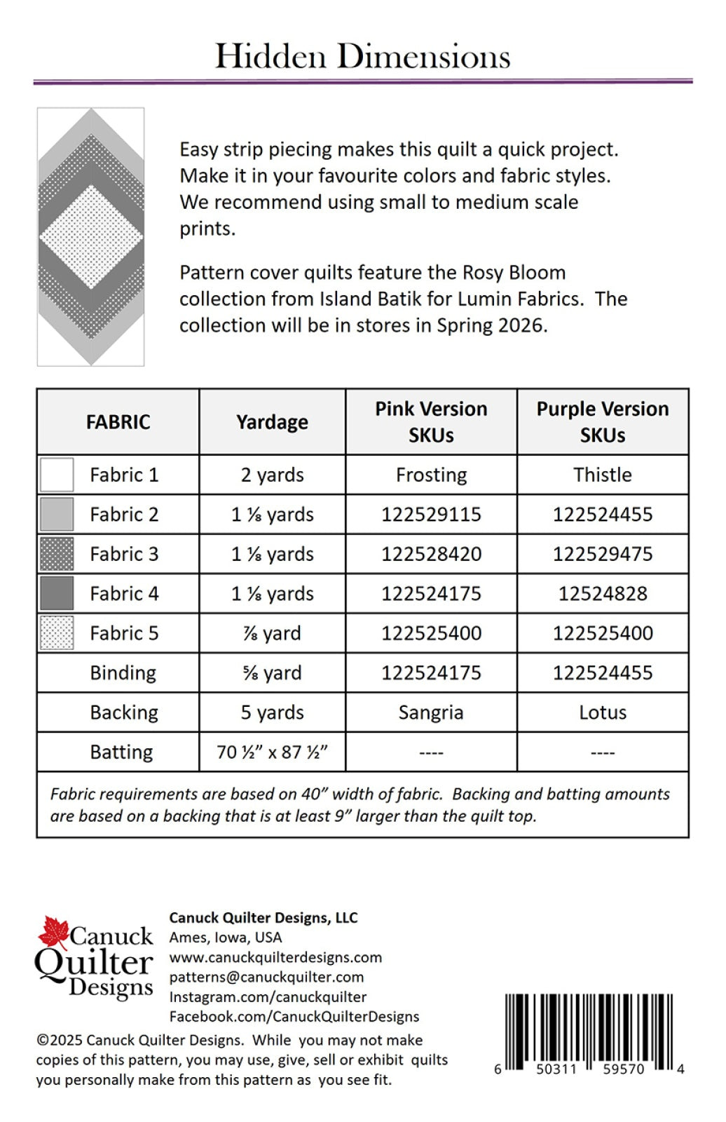 Back of the Hidden Dimensions Quilt Pattern by Canuck Quilter Designs