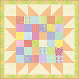 Barn Star 10 Quilt Pattern by Coriander Quilts