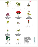 Crocheted Houseplants by Guild of Master Craftsman