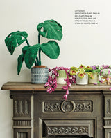 Crocheted Houseplants by Guild of Master Craftsman