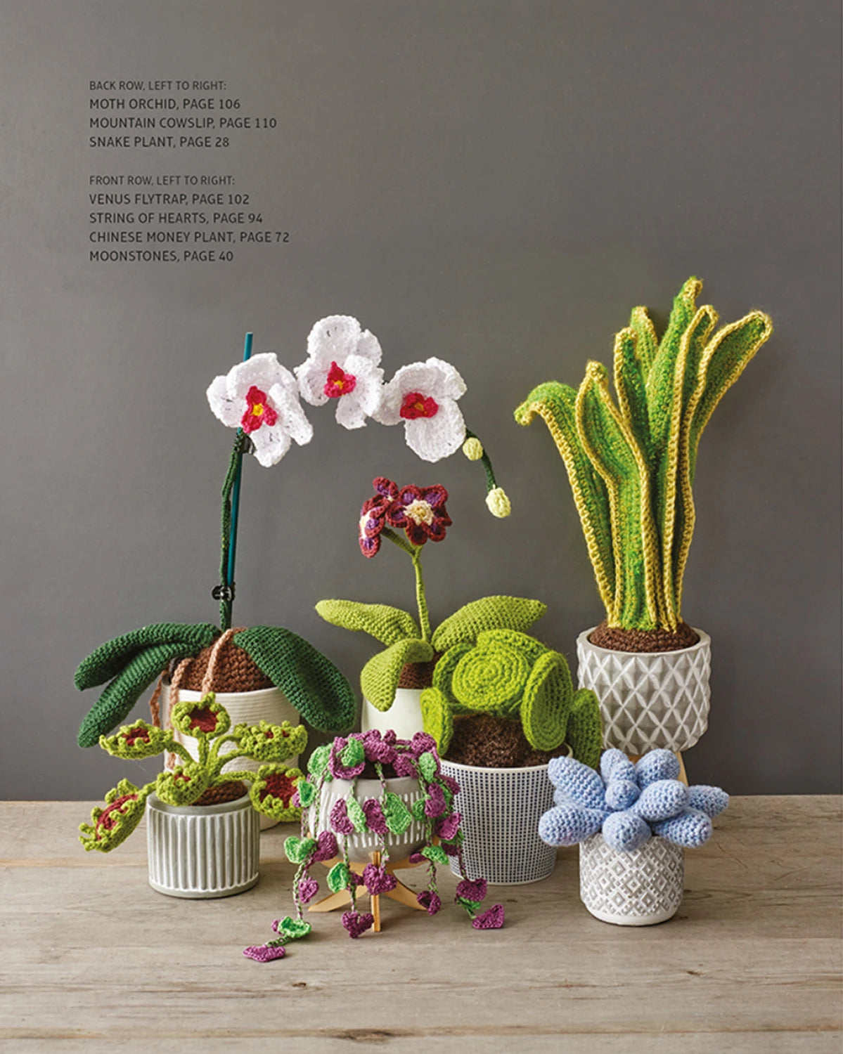 Crocheted Houseplants by Guild of Master Craftsman