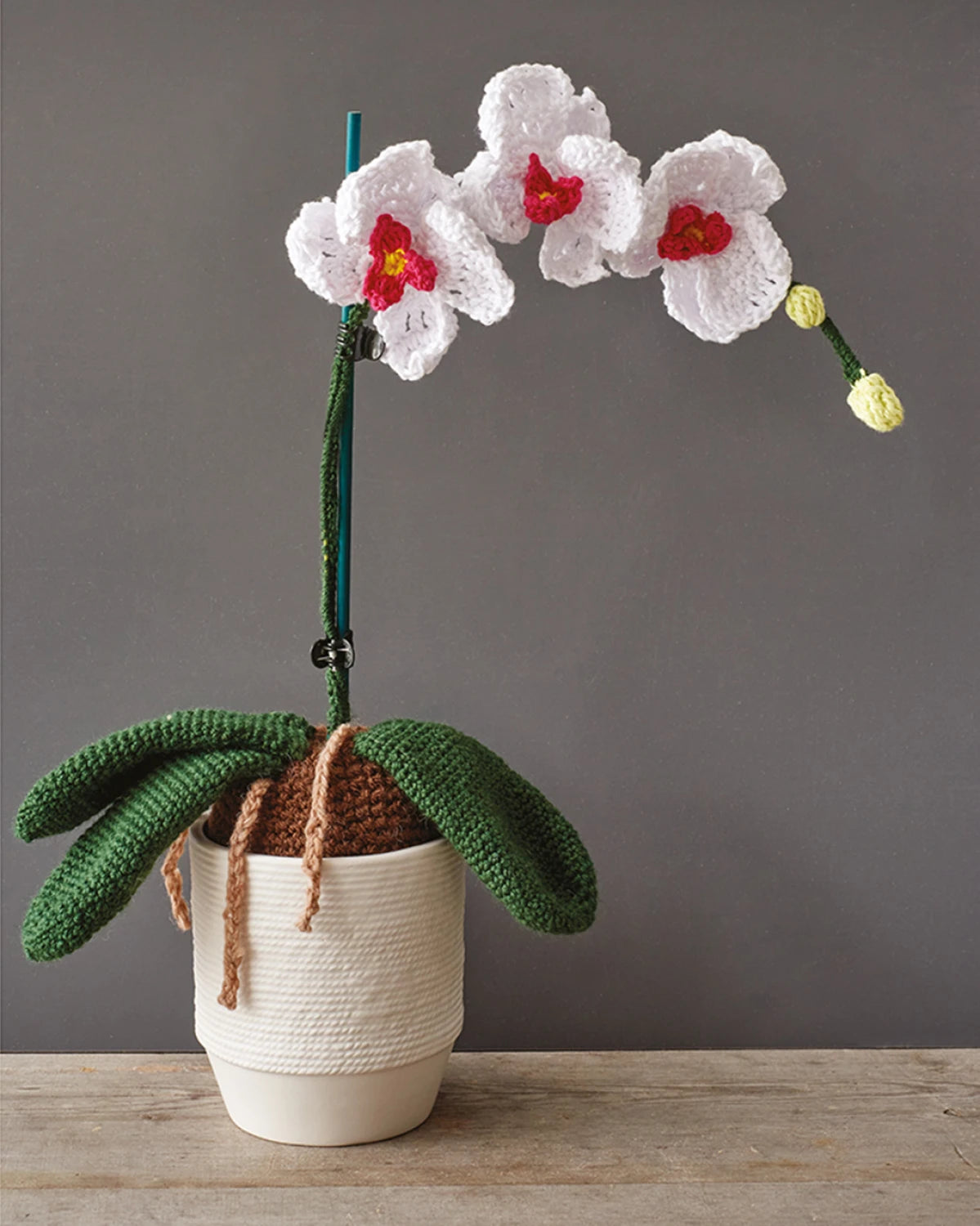 Crocheted Houseplants by Guild of Master Craftsman