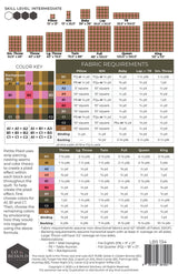 Back of the Petite Plaid Quilt Pattern by Lo & Behold Stitchery