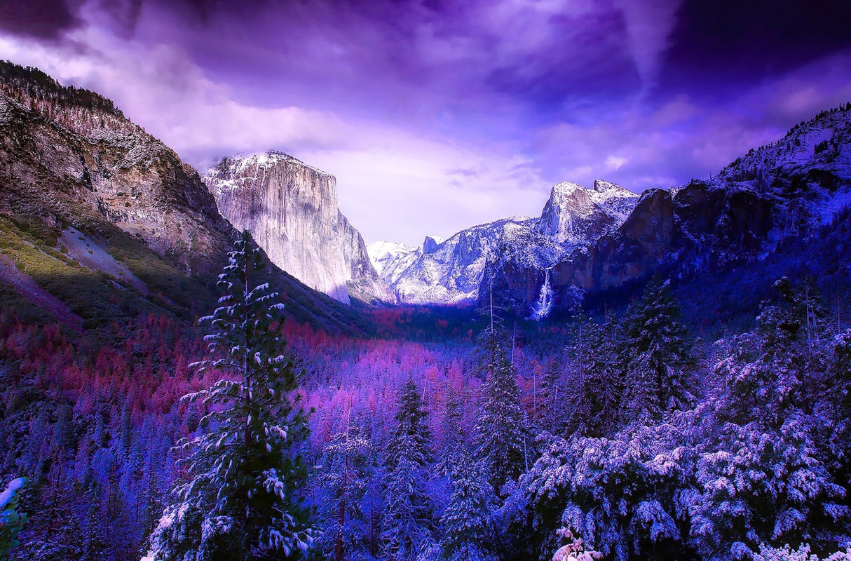 Yosemite in Winter Panel 27.5in x 18in Quilt Pattern by Focus on Fabric