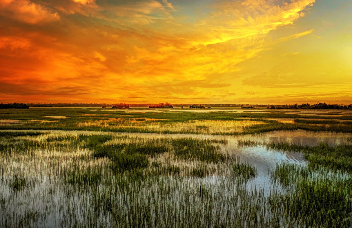 Marshy Sunrise 20x13in Panel Quilt Pattern by Focus on Fabric