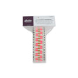 Elixir Sorbet Webbing 1-1/2in x 3 yd by Sallie Tomato