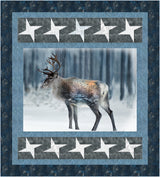 Star Struck Pattern by Quilting Renditions