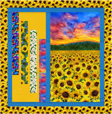 Step Aside Pattern by Quilting Renditions