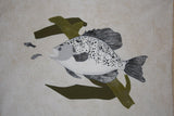 Crappie - Lake Living Series - Fusible Pattern by Penny Slate Designs