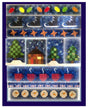 Minnesota Winter Wonderland BOM by Quilt Doodle Designs