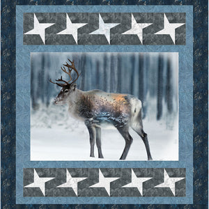 Star Struck Downloadable Pattern by Quilting Renditions