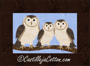 Barn Owl Family 