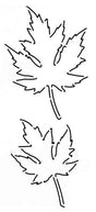 Stencil - Maple Leaf