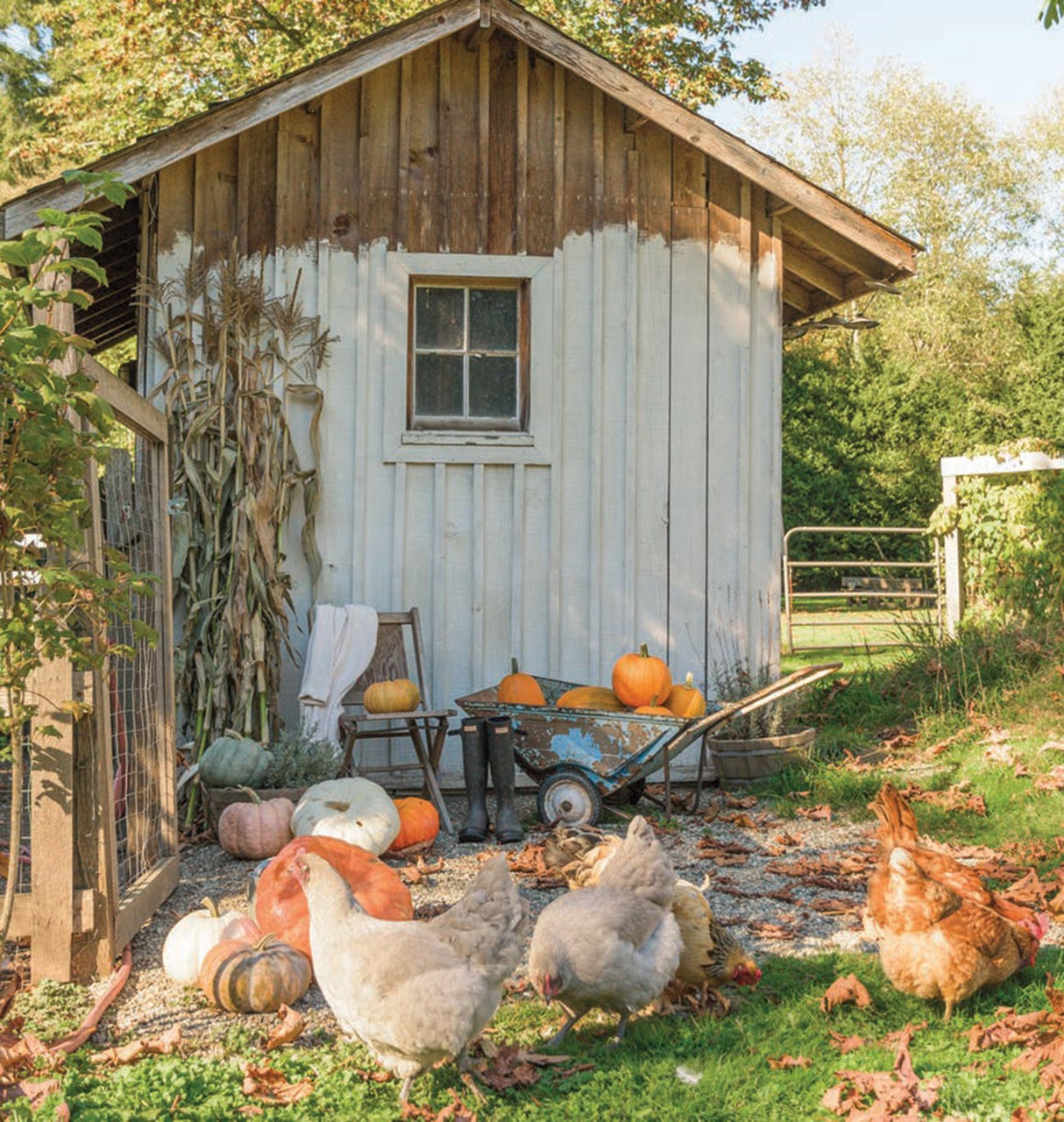 Little Farmstead Living