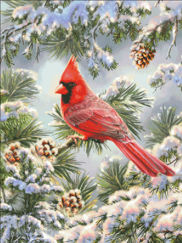 Cardinal In Snowy Pine Cross Stitch By Dona Gelsinger