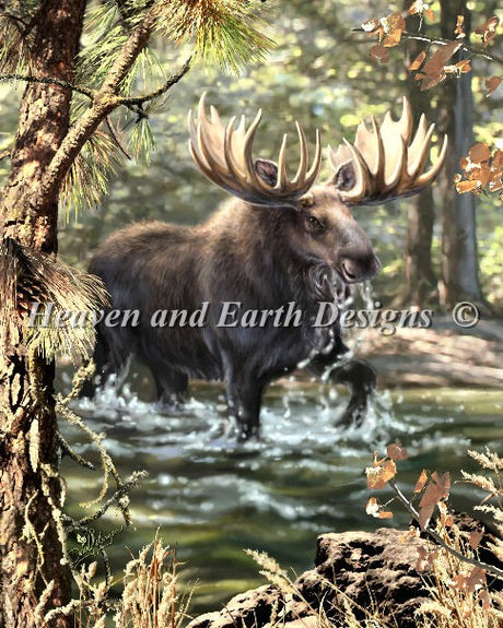 Moose Crossing Cross Stitch By Dona Gelsinger