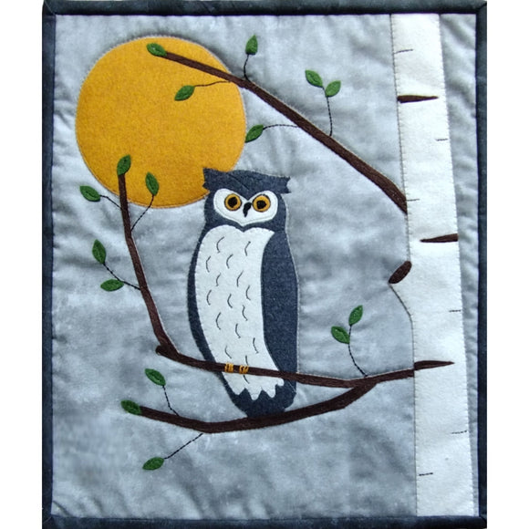 Night Owl Downloadable Pattern by Rachels of Greenfield